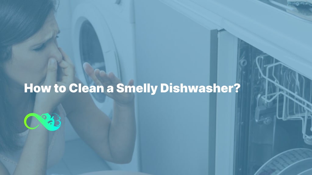 How to Clean a Smelly Dishwasher